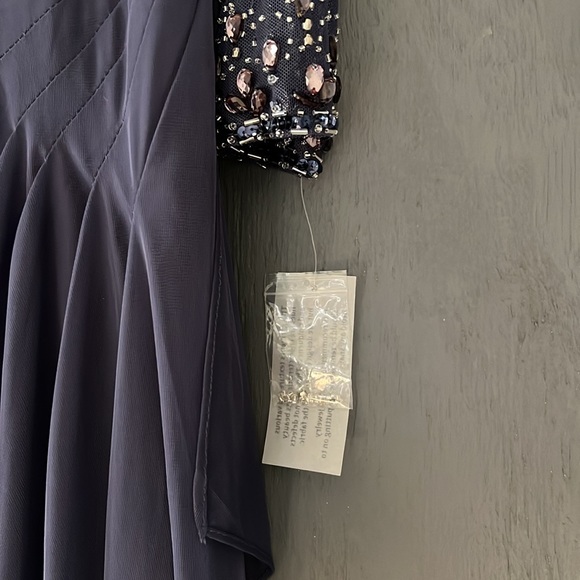 Alex Evening A-Line Mesh Gown With Beaded illusion Sweetheart Neckline Size 16P - Picture 3 of 16